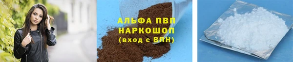 бошки Ладушкин