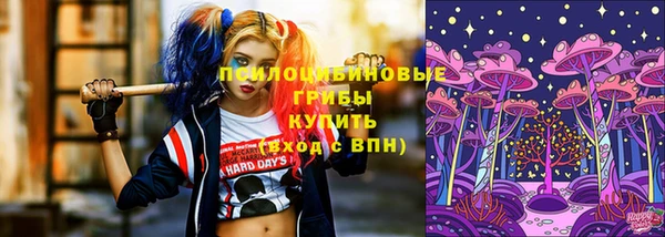 бошки Ладушкин