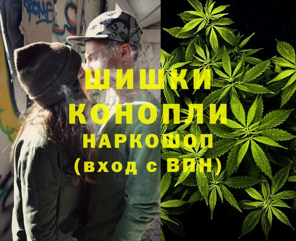 бошки Ладушкин