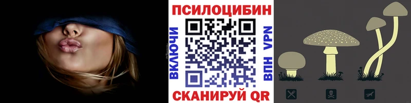 Галлюциногенные грибы Psilocybine cubensis  Купить где  Клин 